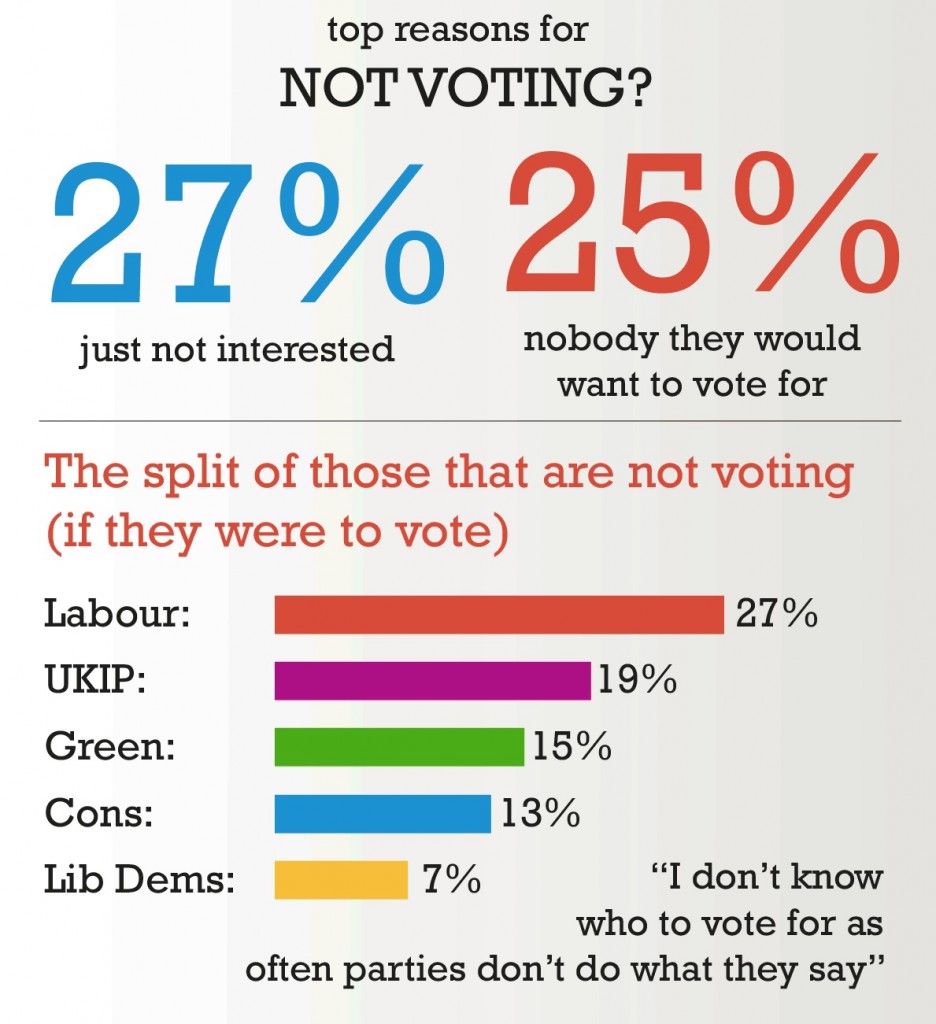 election not voting