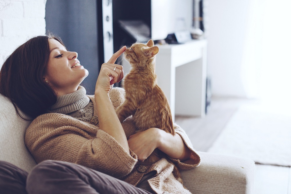 pet capital