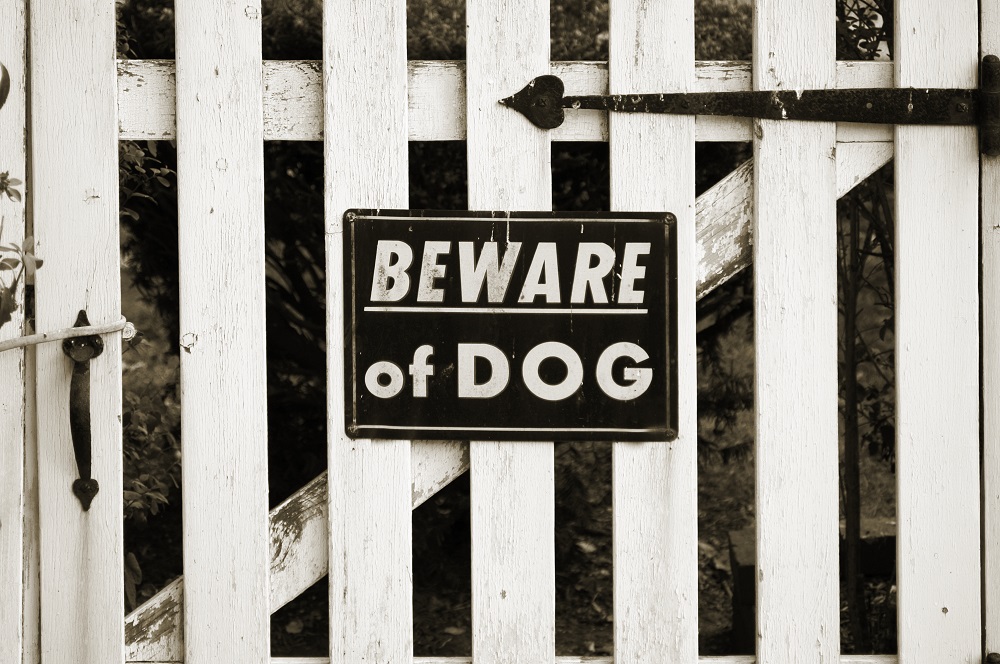 Dogs Trust Dog Fear Survey